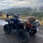 Nick Helmer - @nickhelmer94 - Instagram