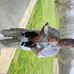 Nick Helton - Facebook