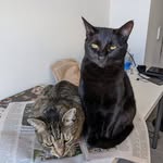 Nick Hemming - @nick.hemming.33 - Instagram