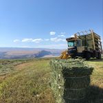 Nick Hendrickson - @n.hendrickson9 - Instagram