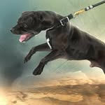 Nick Henley - @henleysjerky - Instagram