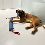 Nick Henley-Welch - @nickhenleywelch - Instagram