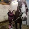 nickhenriksen - @nickhenriksen - TikTok