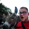 Nik Henriksen - @nikhenriksen - TikTok