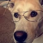 Nick Henson - @nosnehkcin1337 - Instagram