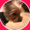 Nick Hermes - @nick.hermes - TikTok