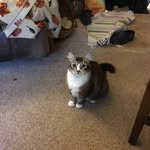 Nick Hessler - @nick.hessler.3 - Instagram