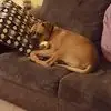 Nicki Hinds - @nicki.hinds2 - TikTok