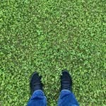 Nick Hindt - @hindtofmint - Instagram