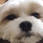 Nick Hirth - @vibinw.nick - Instagram