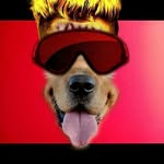 nick holley - @the_werewolf_nick_11 - Instagram
