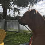 Nick Hope - @the_doo_hopes - Instagram