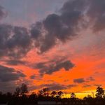 Nick Hough - @nickhough.8 - Instagram