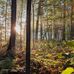 Nick Houser - Facebook
