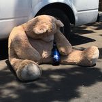Nick Houston - @nickdoesntgetlt - Instagram