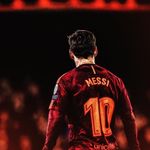 Nick_Barcelona - @nick_hund - Instagram