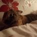 Nick Huzar - Facebook