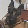 Nick25 - @ivy.nick - TikTok