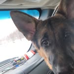 Nick Jacobson - @jacobson5924 - Instagram