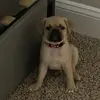 nick.jamison - @nick.jamison - TikTok