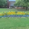 Nick Johns - @nick.johns6 - TikTok