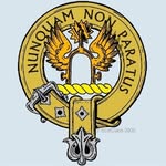 Nick Johnstone - @nick.johnstone.984 - Instagram