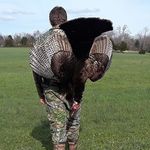 Nick Jolly - @nick_jolly04 - Instagram