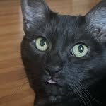 Nick jolly edition - @kittylover96240 - Instagram