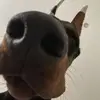 nick - @nickcjolly - TikTok