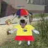nick ★彡 - @nickjuarez_ - TikTok