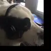 Nicholas Kasper - @nick.kasper3 - TikTok