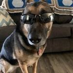 Nick Kauffman - @kauff.09 - Instagram