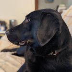 Nick Miller Kauffman - @nicmiller38 - Instagram