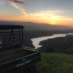 Nick Kaufman - @nick_kaufman44 - Instagram