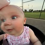 Nick Kaufman - @nickkaufman20 - Instagram