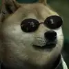 Nick Kaufman - @lovedemdogez - TikTok