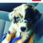 Nick Keith - @yoboynick.906 - Instagram