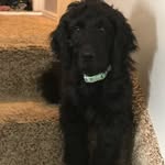 nick kelson - @kelson.nick - Instagram