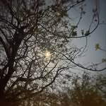 Nick - @nick.king.mcgraw - Instagram