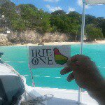 Nick Knowles - @nick_knowles_barbados - Instagram