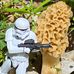 Nicholas Koons - Facebook