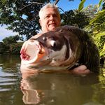 Nick Koster - @koster5850 - Instagram