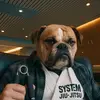 Nick Kugelman - @nickkugelman - TikTok