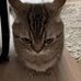 Nik Kuz - Facebook