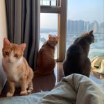 Nick Lai - @nicklai1220 - Instagram