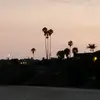 nick - @nicklai9 - TikTok