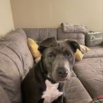 Nick.lapolla - @nick.lapolla - Instagram