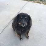 Nick Laske - @nick_laske - Instagram