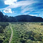 Nick Laurie - @nlaurie - Instagram