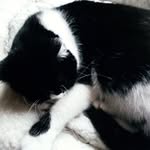 Nick - @_nick_lehmann_ - Instagram